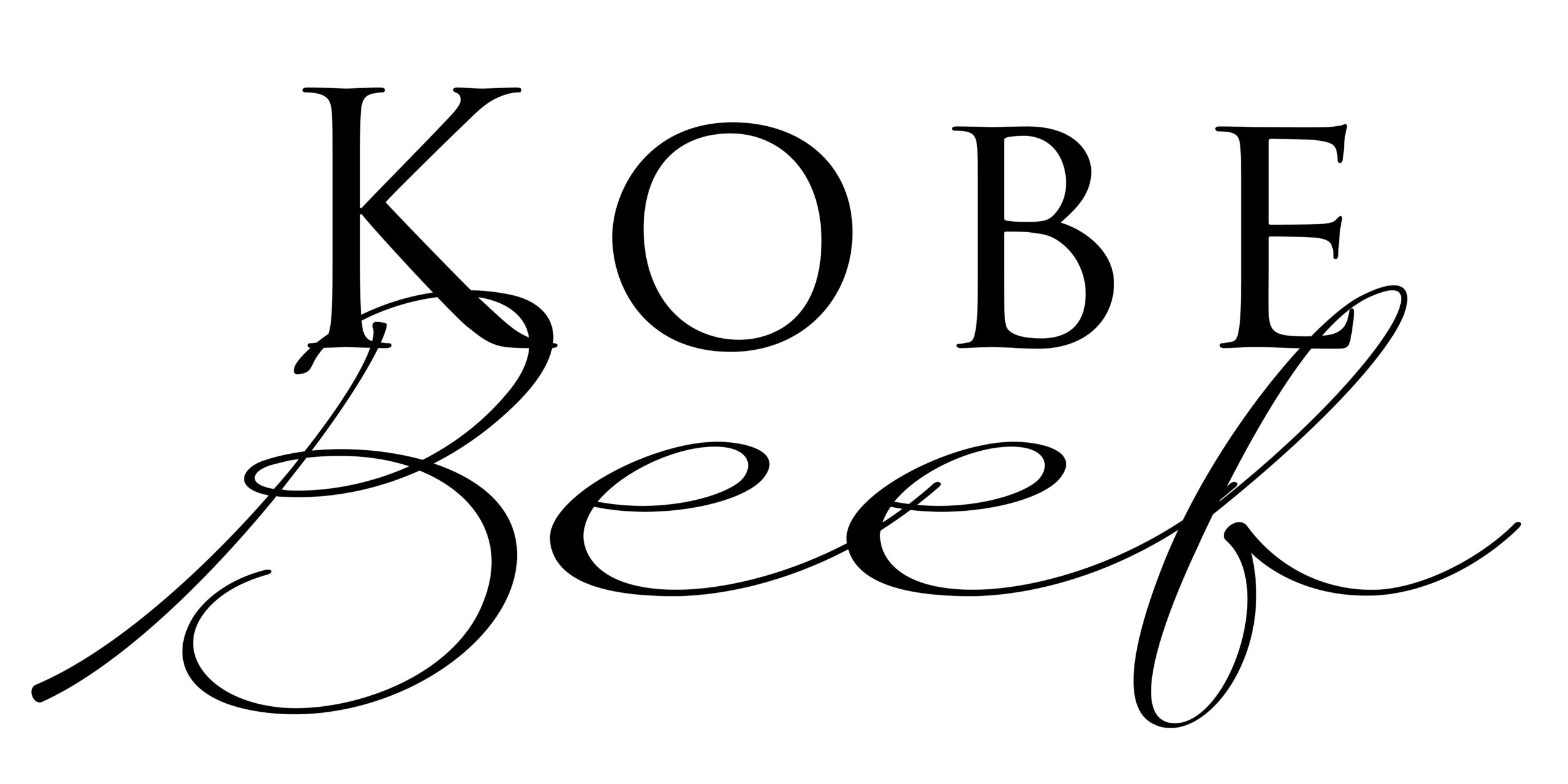 logo-shiro